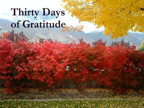 November with Gratitude!