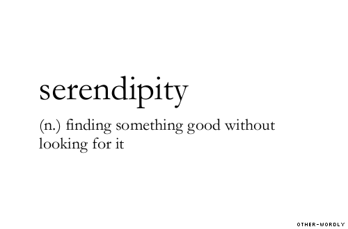 serendipity2